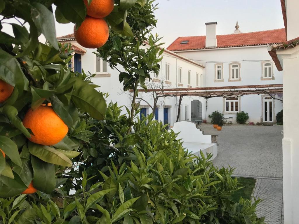 Oryza Guest House& Suites Coimbra Ngoại thất bức ảnh